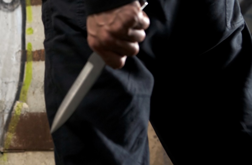 Tío y sobrino se mataron a cuchillo dentro de un humilde rancho en Ciudad Bolívar - Alerta Bogotá