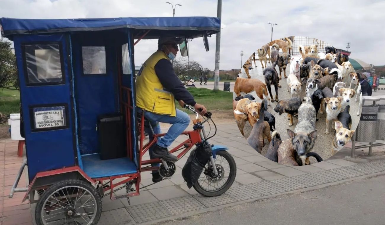 titulo