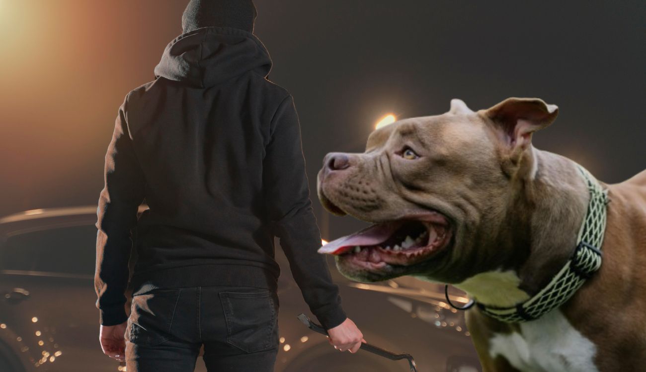 titulo