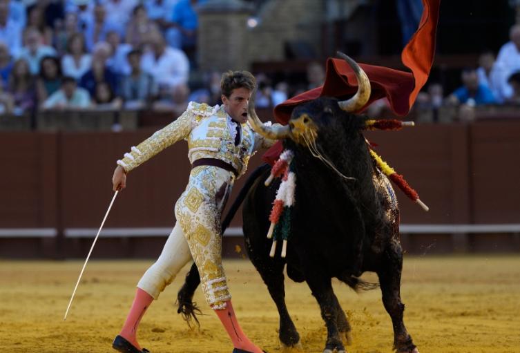 Al menos el 40% del espacio de la publicidad del evento deberá ser destinado a informar del sufrimiento animal.