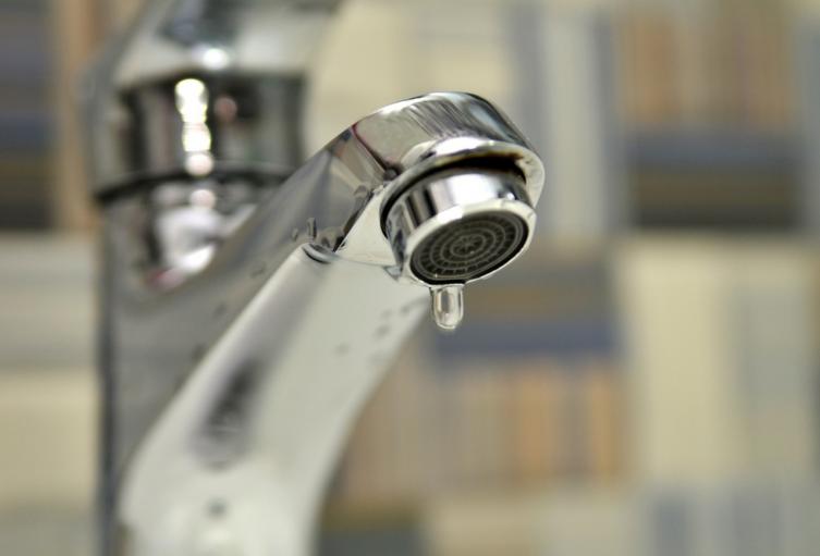 Grifo de agua. Imagen de referencia.