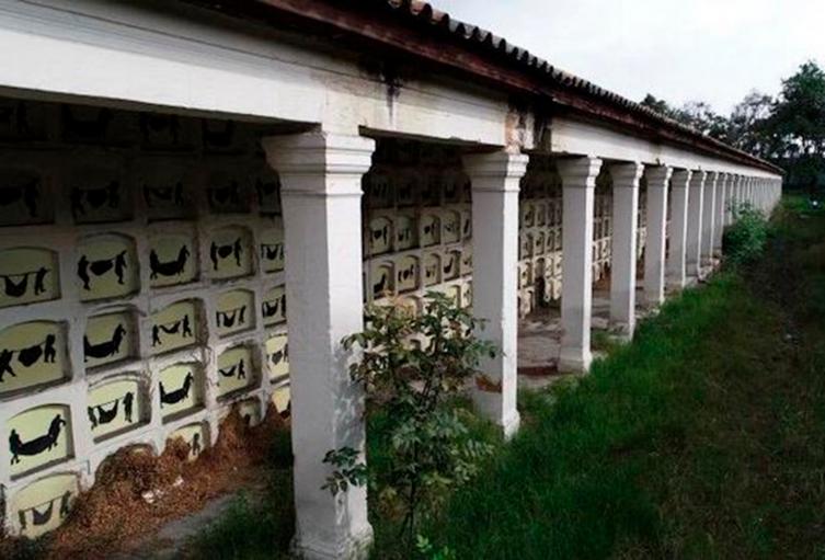Los dibujos de la artista Beatriz González en inmediaciones del Cementerio Central, en Bogotá
