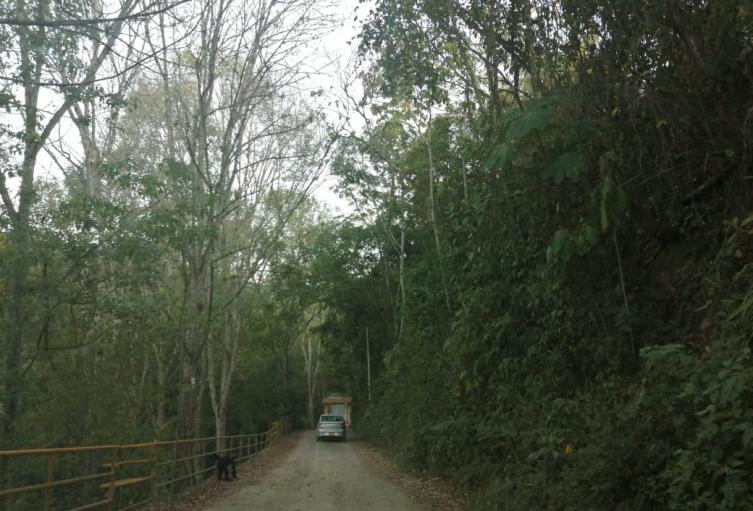 Vía hacia veredas de Silvania, Cundinamarca