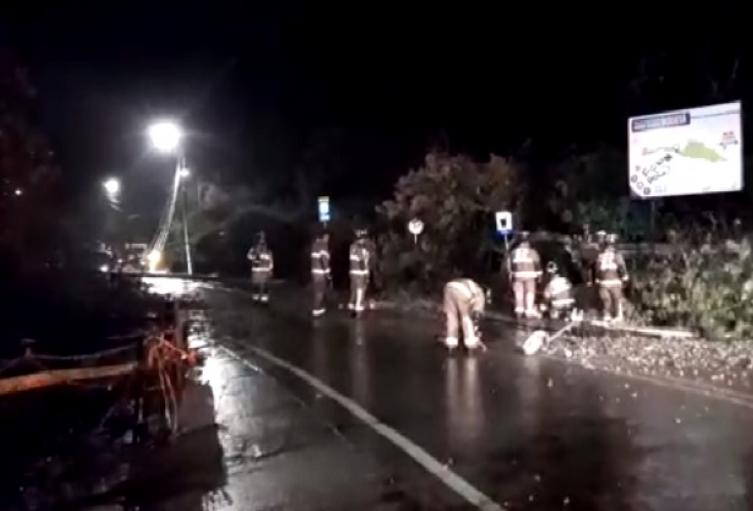 Cerrada por caída de árbol y postes