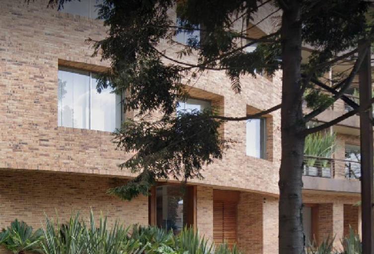 Ladrones se suben como arañas para robar apartamentos en Bogotá