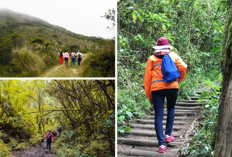Caminata ecológica gratis: plan perfecto cerca de Bogotá
