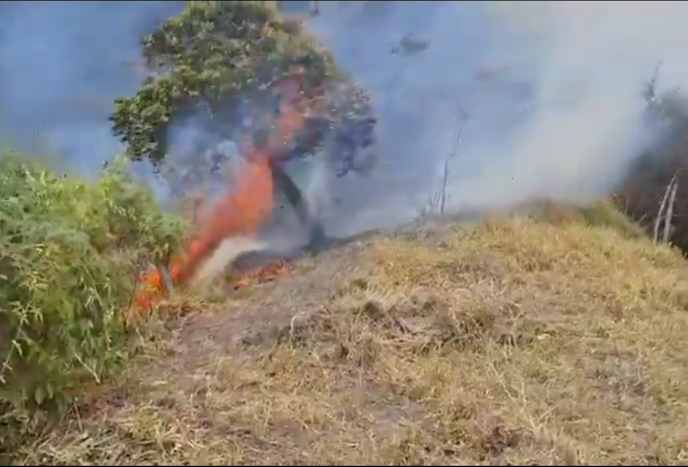 Incendio forestal en la vereda Timaná, en el municipio de Pacho, Cundinamarca.