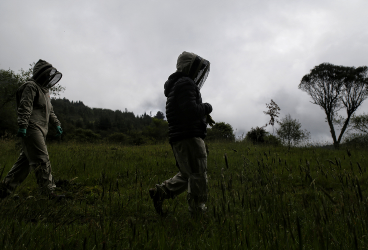 Subida a los cerros de Bogotá podría salirle caro: esto es lo que debe saber para que no la embarre 