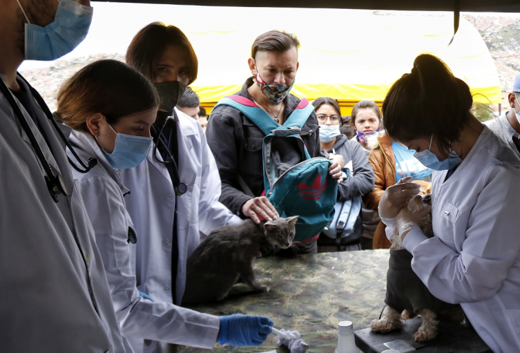 Mascotas tendrán jornada gratis de vacunación en Bogotá así puede acceder Mascotas tendrán jornada gratis de vacunación en Bogotá así puede acceder