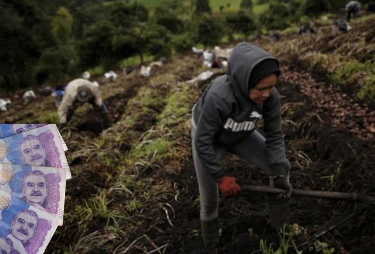 Fusagasugá: estrategia llenaría los bolsillos de los comerciantes Fusagasugá: estrategia llenaría los bolsillos de los comerciantes