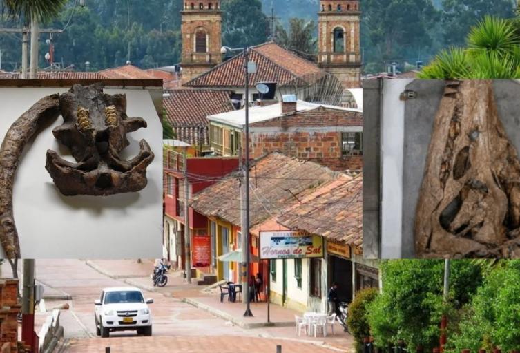 Pueblo de Cundinamarca que estuvo bajo el agua: encuentran fósiles marinos Pueblo de Cundinamarca que estuvo bajo el agua: encuentran fósiles marinos