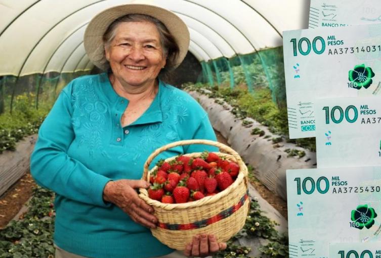 Campesinos en la zona rural de Bogotá