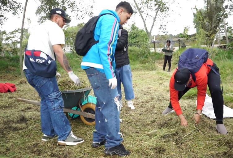Los infractores cambian multas por limpieza y siembra de árboles