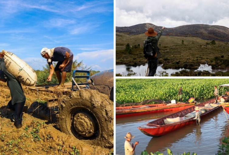 Campesinos reciben salvavidas tras afectaciones por fenómenos climáticos Campesinos reciben salvavidas tras afectaciones por fenómenos climáticos