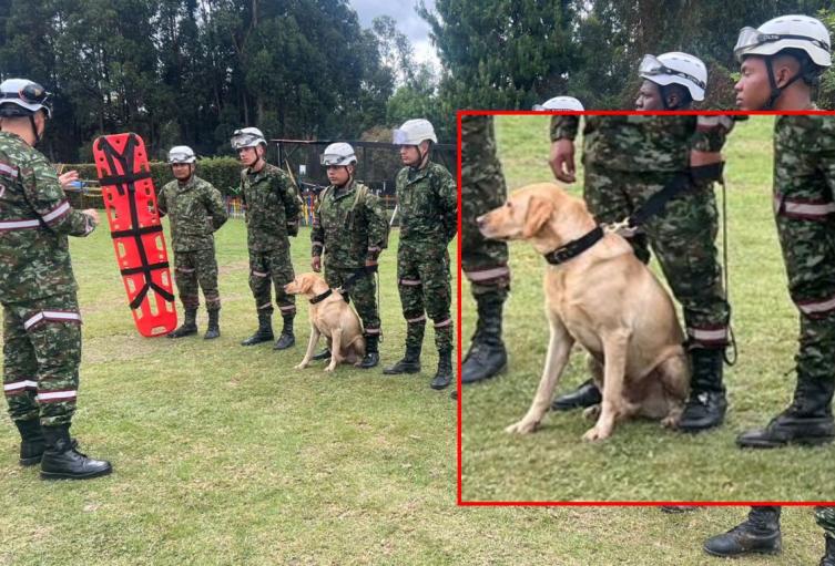 Soldados rescatistas del Ejército se unen a la búsqueda de Valeria Afanador