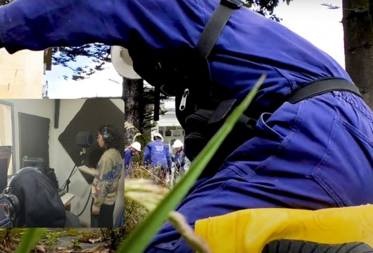 Cementerios con nueva cara y Bogotá con nueva canción jóvenes dan sorpresa Cementerios con nueva cara y Bogotá con nueva canción jóvenes dan sorpresa