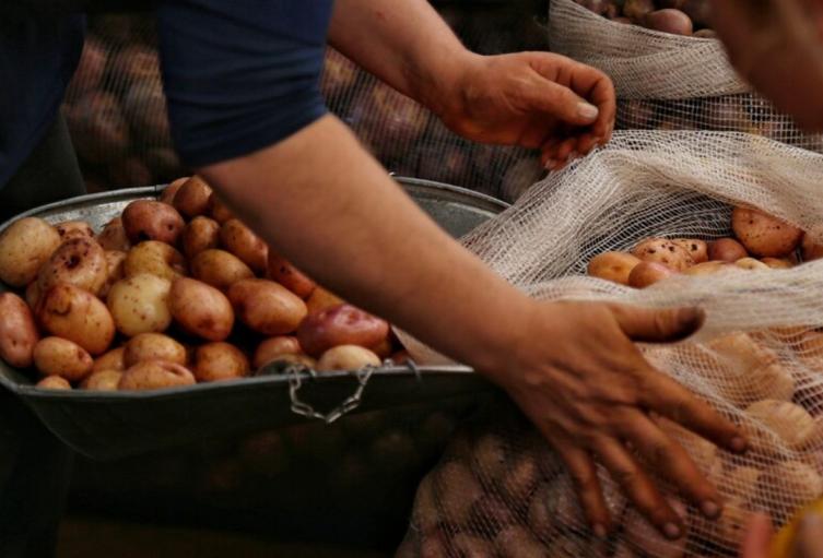 Precios en Corabastos este 6 de agosto, 2025: alimentos que más bajaron HOY Precios en Corabastos este 6 de agosto, 2025: alimentos que más bajaron HOY