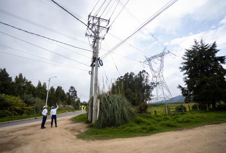443 cometas atrapadas en redes eléctricas durante agosto de 2024, reporta Enel Colombia