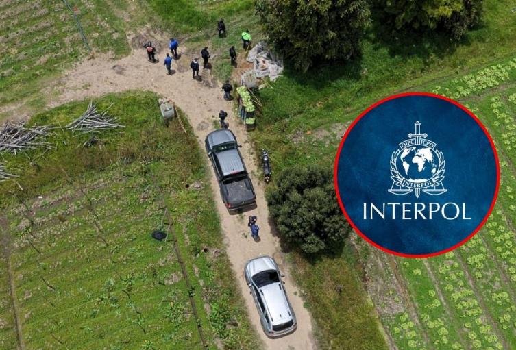 Caso Valeria Afanador toma giro: Interpol emite circular amarilla
