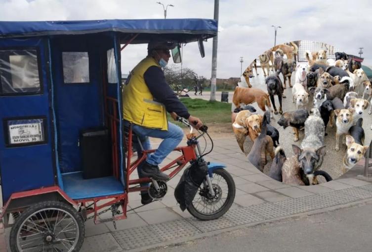 Jauría siembra miedo en Bosa bicitaxista salió mordido Jauría siembra miedo en Bosa bicitaxista salió mordido