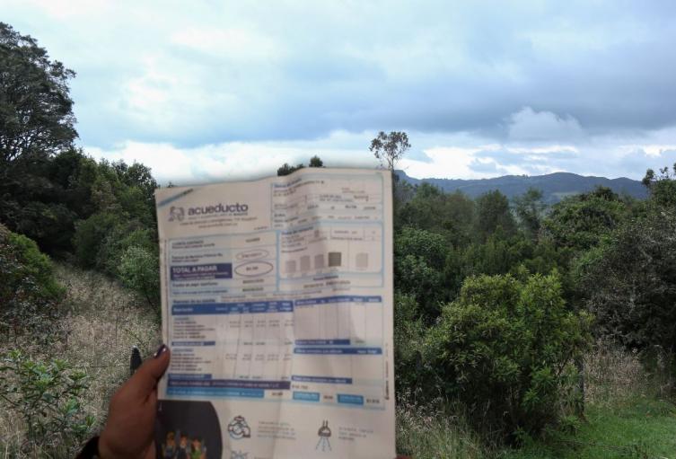 Siembra de árboles por pagar recibo del agua