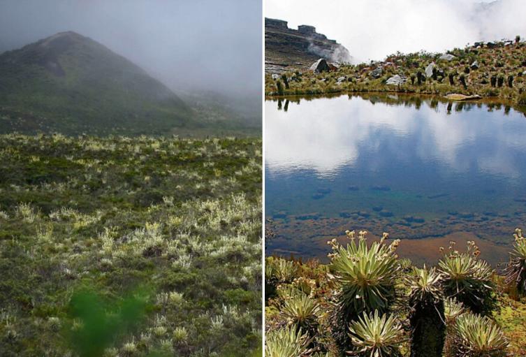 Páramo de Sumapaz