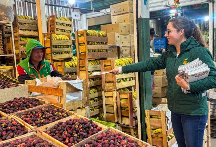 Precios en Corabastos este viernes alimentos que más bajaron hoy Precios en Corabastos este viernes alimentos que más bajaron hoy
