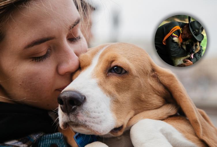Hurto de mascotas en Bogotá Hurto de mascotas en Bogotá