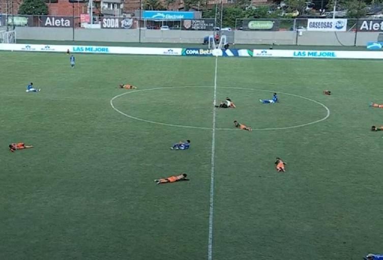 Abejas en Millonarios vs. Envigado Abejas en Millonarios vs. Envigado