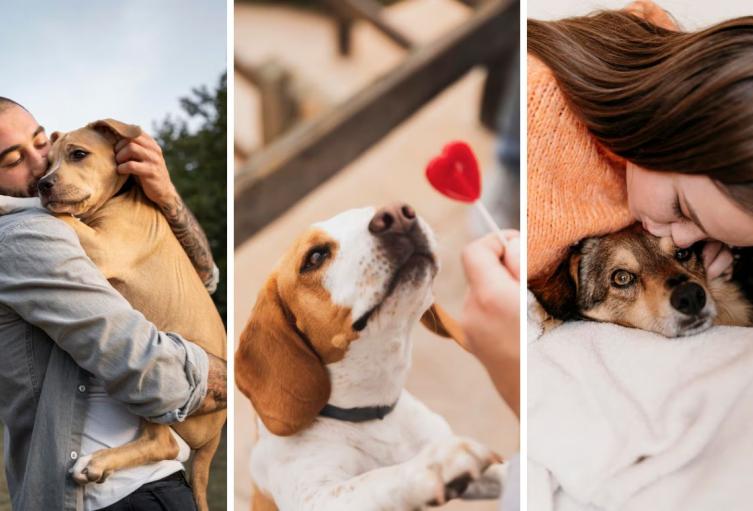 Animales rescatados buscan a su amigo secreto: regalos que transforman vidas Animales rescatados buscan a su amigo secreto: regalos que transforman vidas