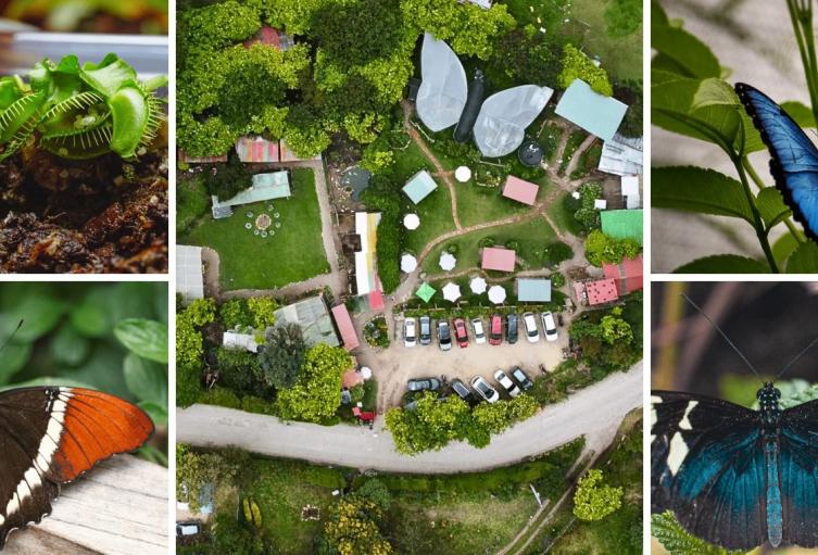 Bioparque Monarca: aventura familiar en Tenjo con mariposario incluido