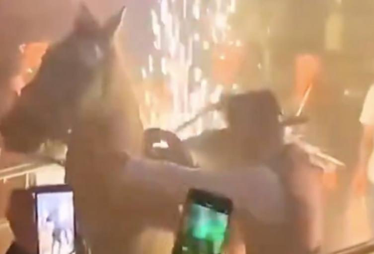 Metieron un caballo a un bar en pleno centro de Bogotá