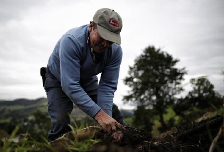 Campesinos de Bogotá