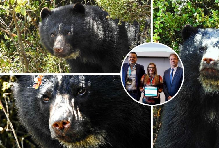 Alianza histórica dará protección especial al corredor del agua y el oso Alianza histórica dará protección especial al corredor del agua y el oso