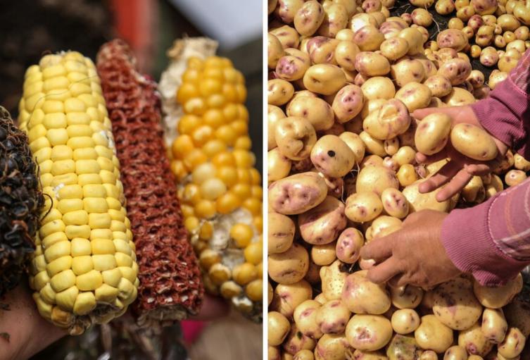 Precios en Corabastos hoy 16 de septiembre de 2025: alimentos que más bajaron de precio este martes