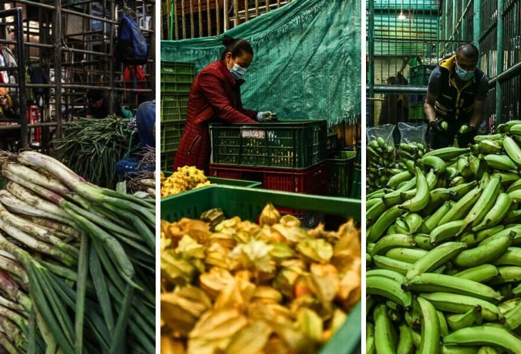 Precios en Corabastos este 3 de septiembre, 2025: alimentos que más bajaron Precios en Corabastos este 3 de septiembre, 2025: alimentos que más bajaron