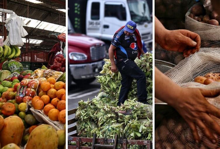 Precios en Corabastos hoy 4 de septiembre de 2025: alimentos que más bajaron de precio este jueves Precios en Corabastos hoy 4 de septiembre de 2025: alimentos que más bajaron de precio este jueves