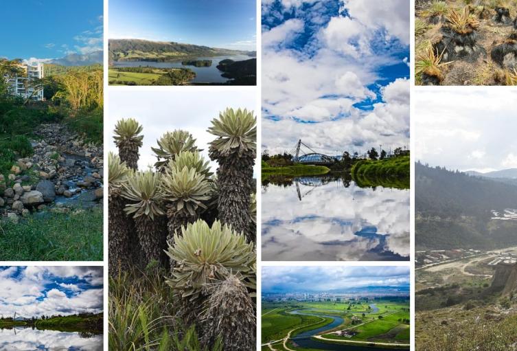 CAR prepara gran Cumbre Ambiental: no pagará un solo peso por entrar CAR prepara gran Cumbre Ambiental: no pagará un solo peso por entrar