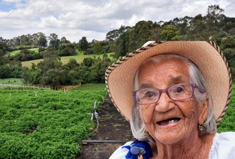 Cundinamarca suelta $10.600 millones familias de varios pueblos ganan Cundinamarca suelta $10.600 millones familias de varios pueblos ganan