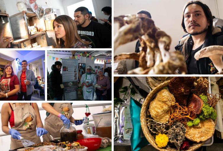 El reino de los hongos invade Bogotá: llega la Feria Fungi 2025