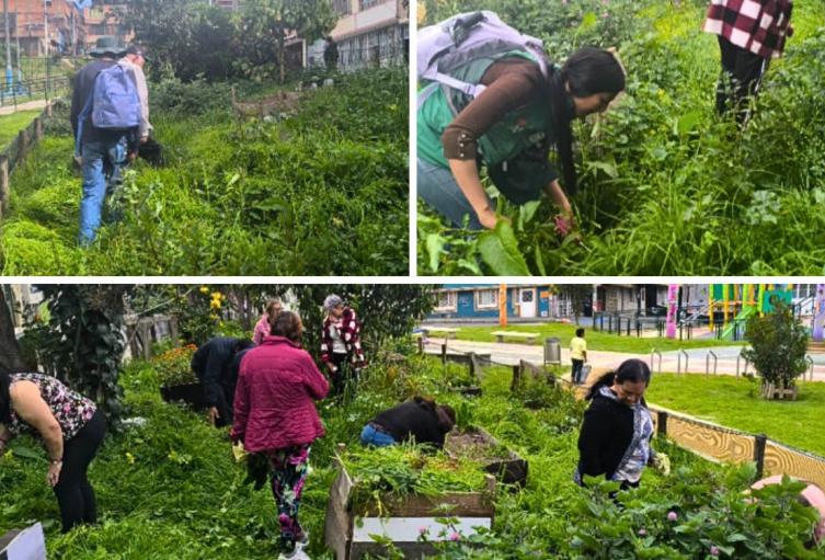 Ciudad Bolívar florece con la Huerta María Cano y su poder comunitario Ciudad Bolívar florece con la Huerta María Cano y su poder comunitario