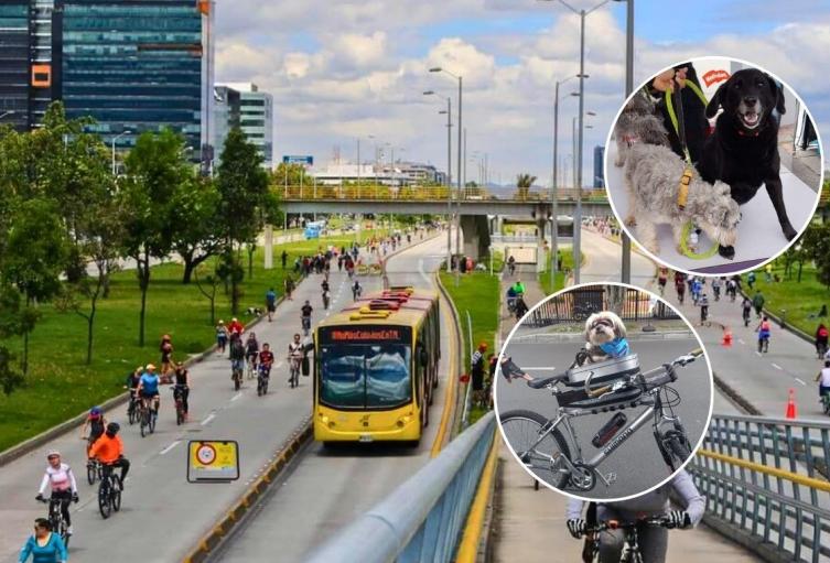 Mascotas no sufrirán en la Ciclovía de Bogotá: Distrito les arregla el paseo Mascotas no sufrirán en la Ciclovía de Bogotá: Distrito les arregla el paseo