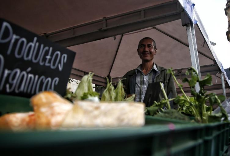 Mercados campesinos Agricultor ofreciendo sus productos en mercado campesino