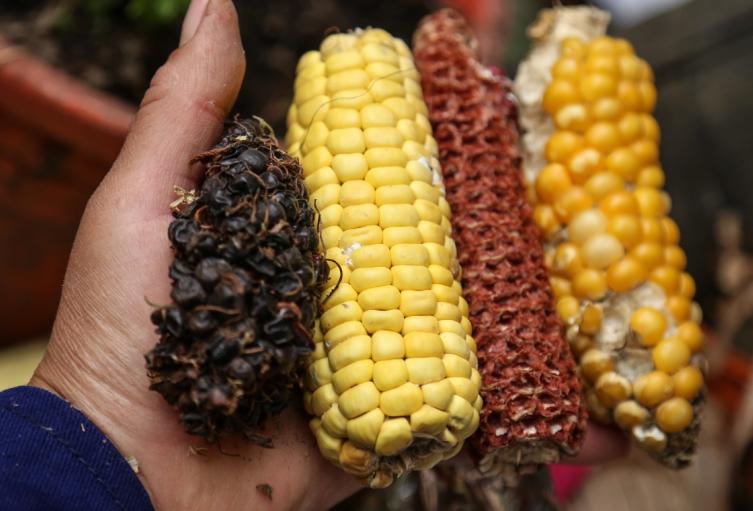 Oferta y demanda en Corabastos Oferta y demanda en Corabastos