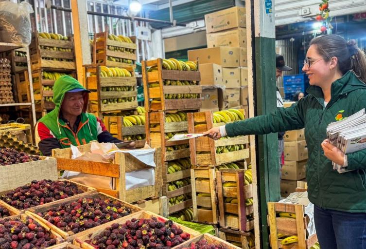 Precios en Corabastos hoy 26 de septiembre de 2025 alimentos que más bajaron este viernes Precios en Corabastos hoy 26 de septiembre de 2025 alimentos que más bajaron este viernes