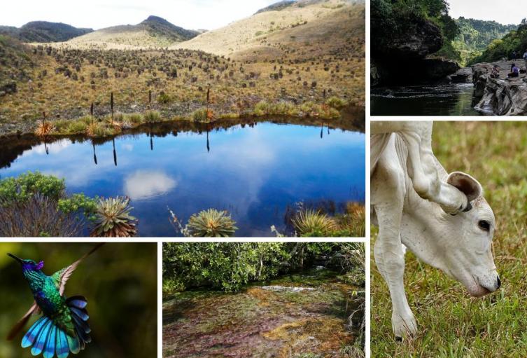 Pueblo de Cundinamarca con ríos, quebradas y páramo a 2 horas de Bogotá Pueblo de Cundinamarca con ríos, quebradas y páramo a 2 horas de Bogotá