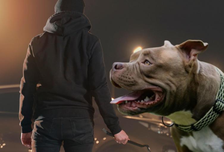 Cinco hombres armados robaron una camioneta y se llevaron un perro en Puente Aranda Cinco hombres armados robaron una camioneta y se llevaron un perro en Puente Aranda