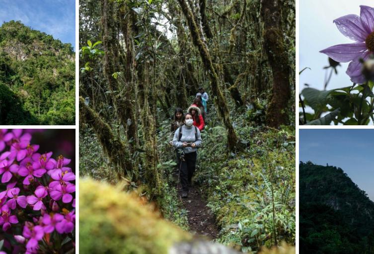 Sendero Las Moyas: precios, rutas y todo para disfrutar este tesoro natural Sendero Las Moyas: precios, rutas y todo para disfrutar este tesoro natural