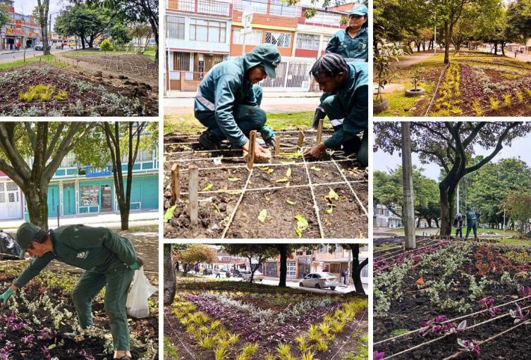 Siete nuevas maravillas florales le cambian la cara al sur de Bogotá Siete nuevas maravillas florales le cambian la cara al sur de Bogotá