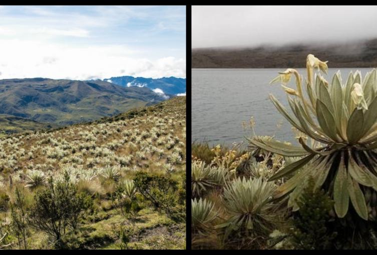 Sumapaz se suma a las convocatorias culturales